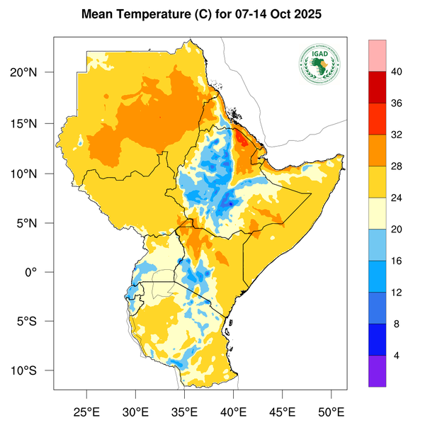 Temperature forecast