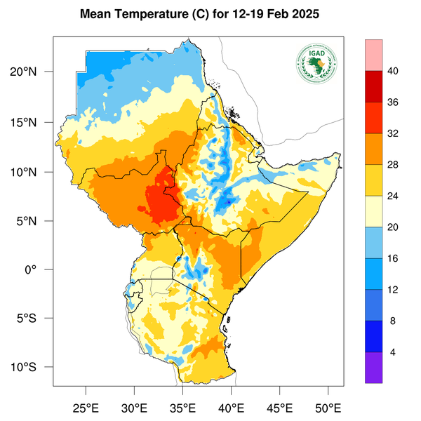 Temperature forecast