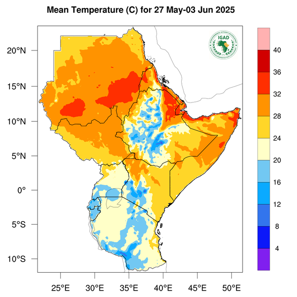 Temperature forecast