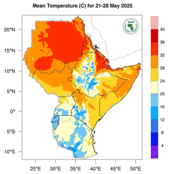 Temperature forecast