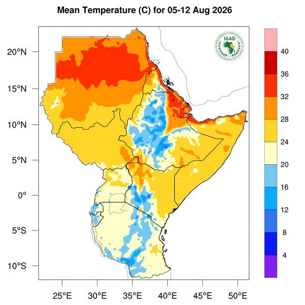 Temperature forecast