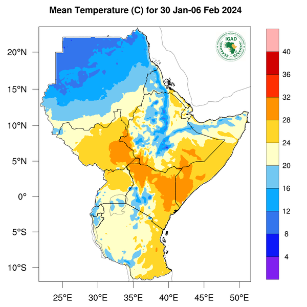 Temperature forecast