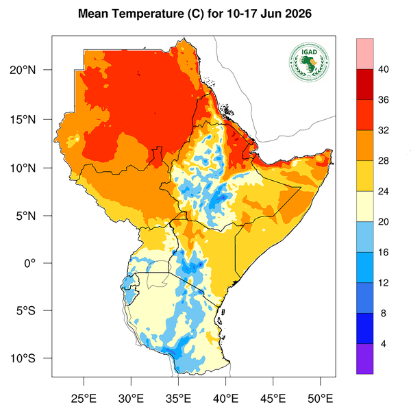 Temperature forecast