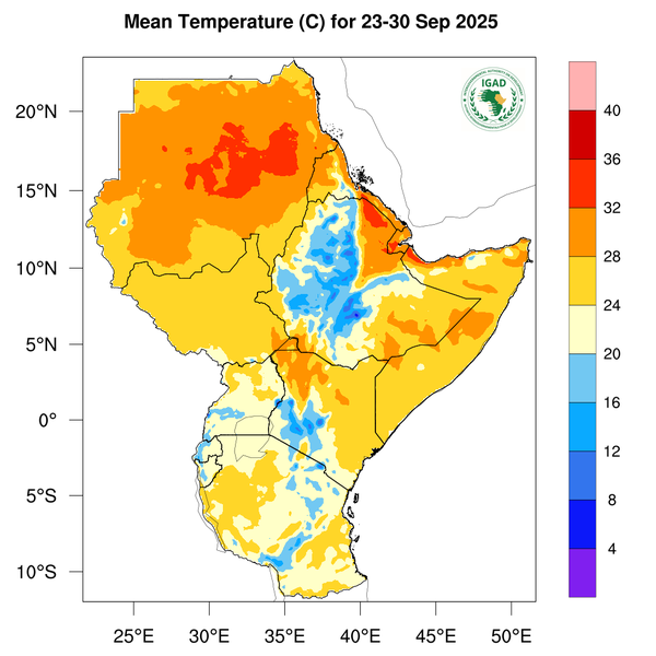 Temperature forecast