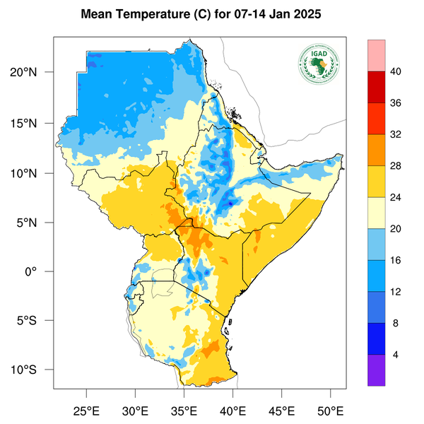 Temperature forecast