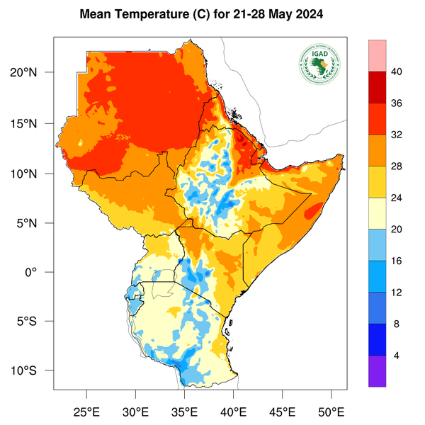 Temperature forecast