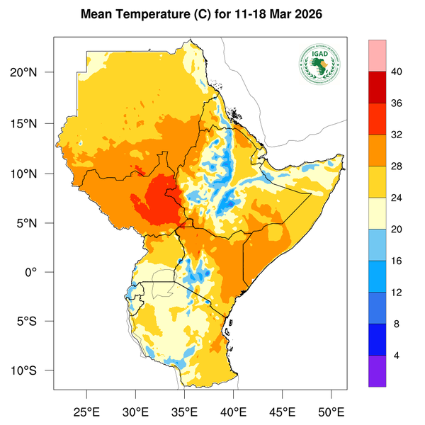 Temperature forecast