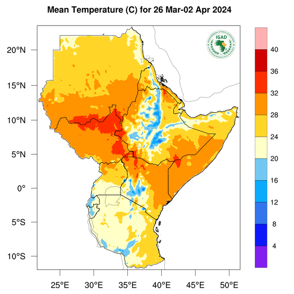 Temperature forecast