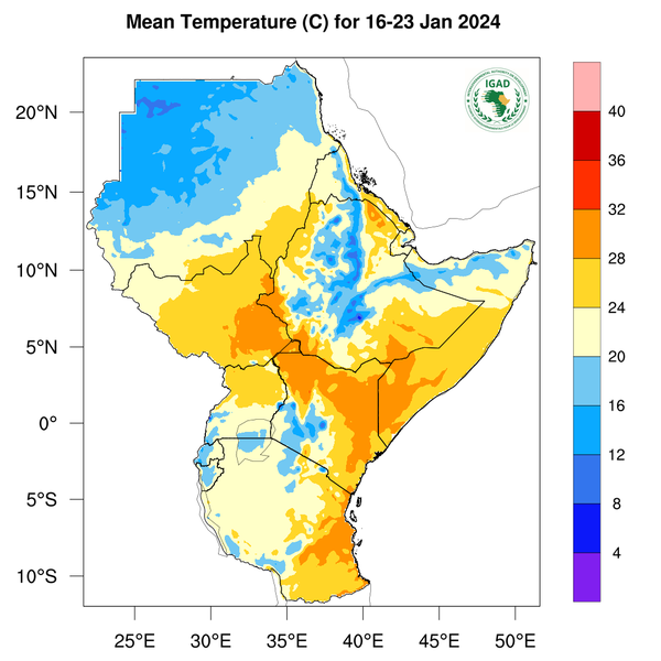 Temperature forecast