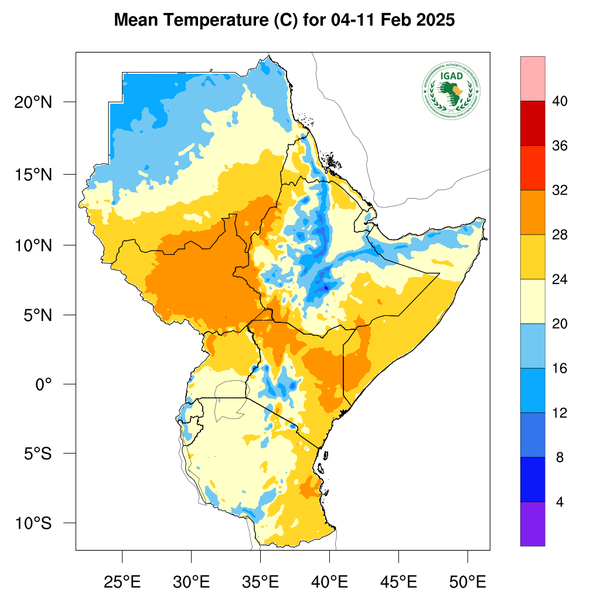 Temperature forecast
