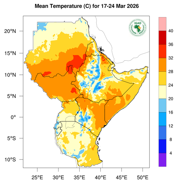 Temperature forecast