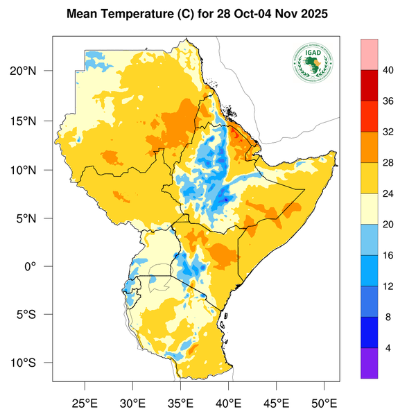 Temperature forecast
