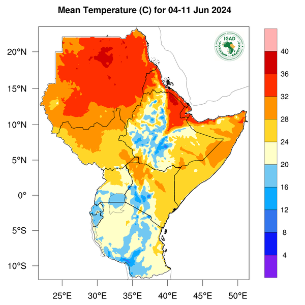 Temperature forecast
