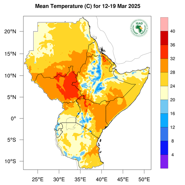 Temperature forecast