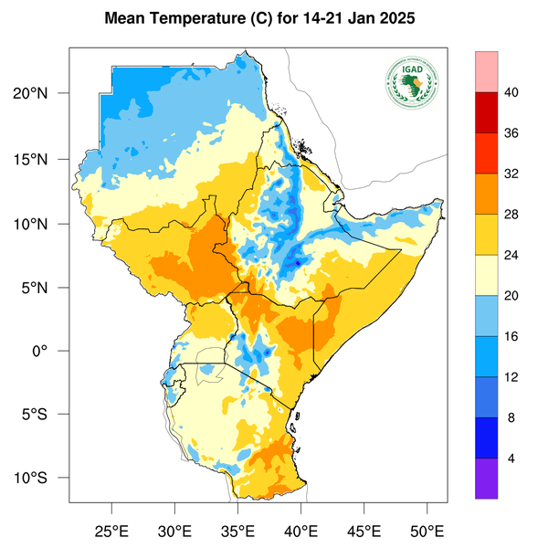 Temperature forecast