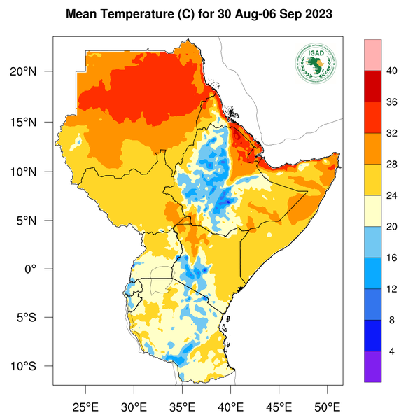 Temperature forecast
