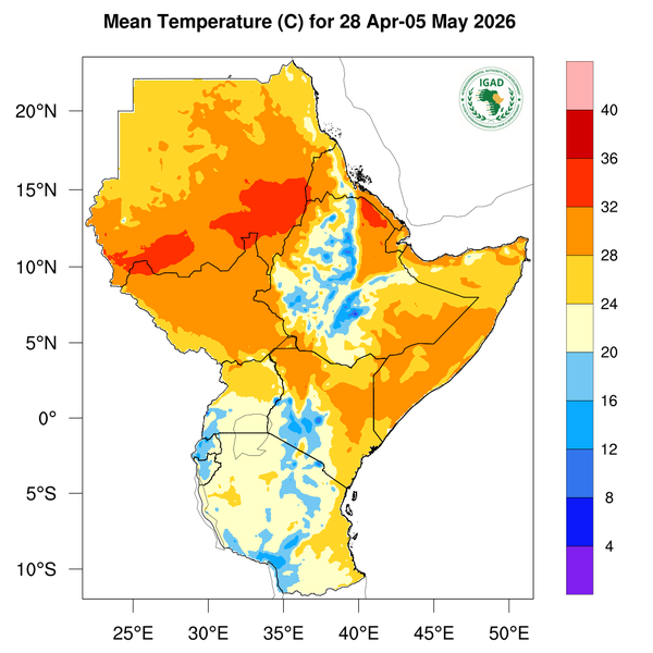Temperature forecast