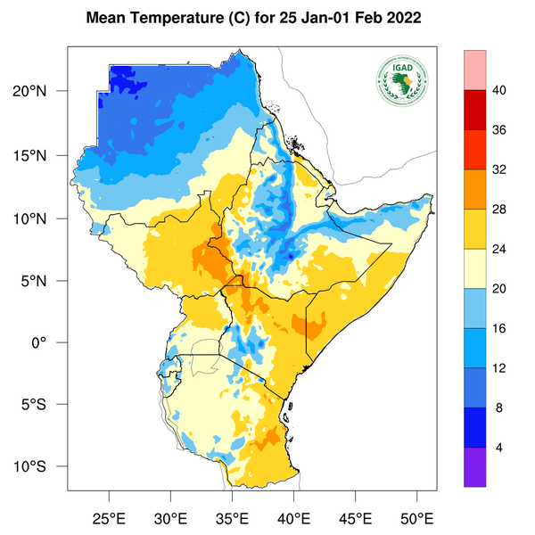 Temperature forecast