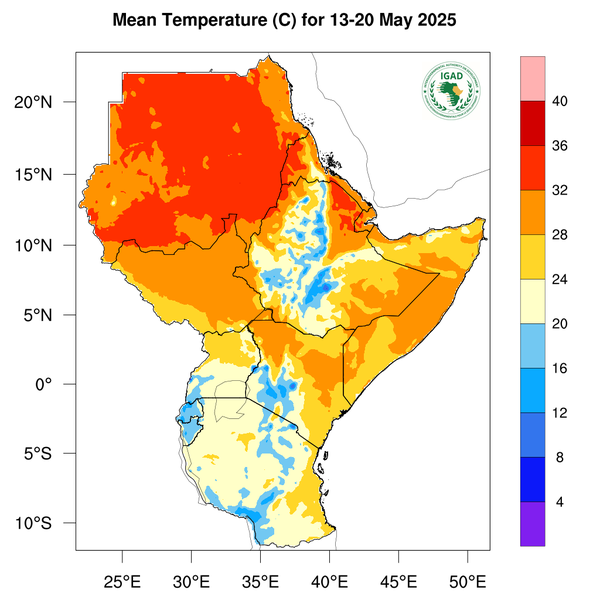Temperature forecast