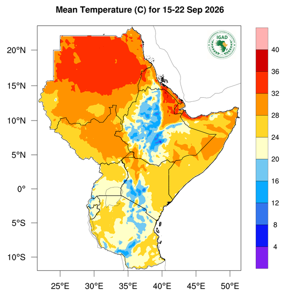 Temperature forecast