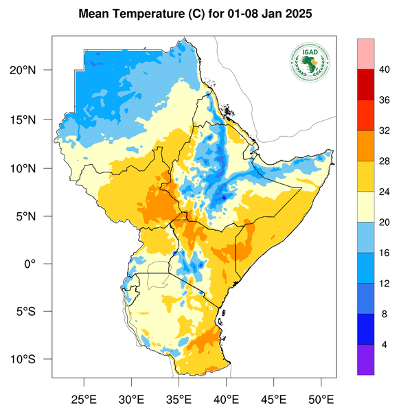 Temperature forecast