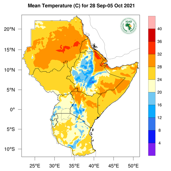 Temperature forecast