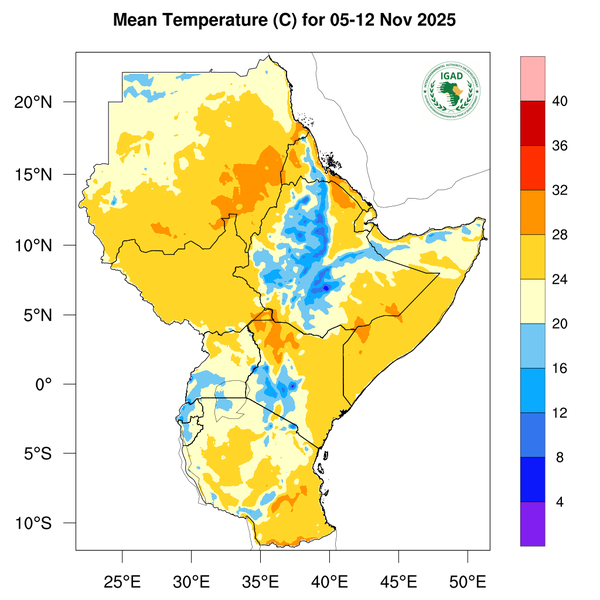 Temperature forecast