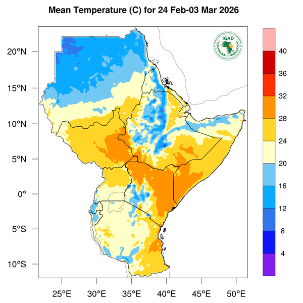 Temperature forecast