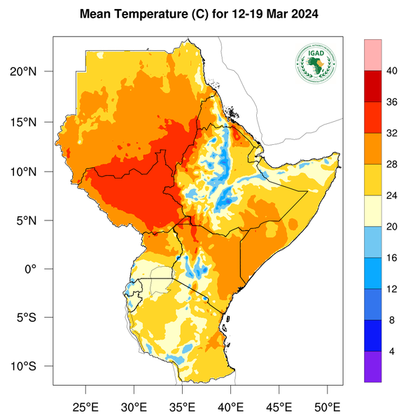 Temperature forecast