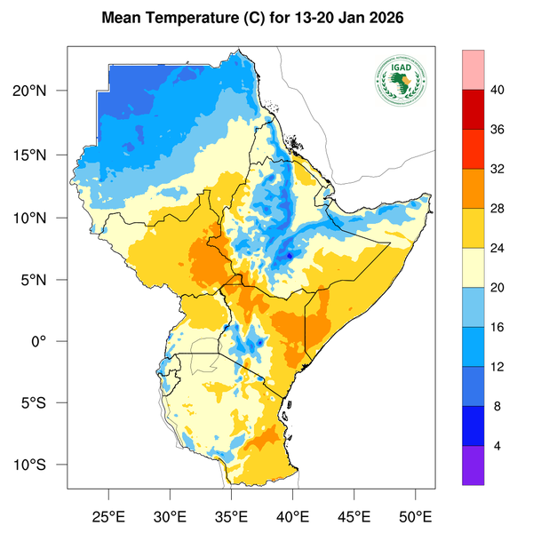 Temperature forecast
