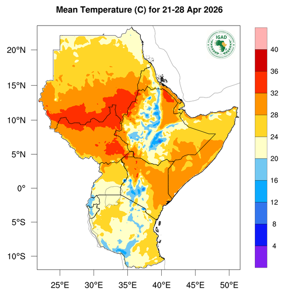 Temperature forecast
