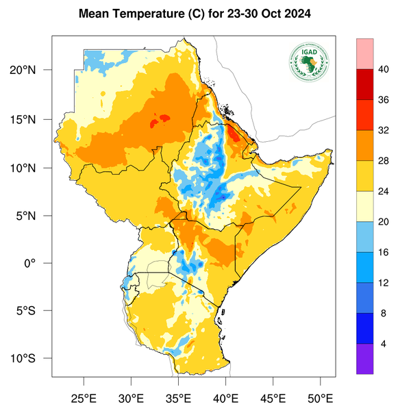Temperature forecast