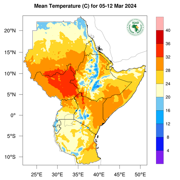 Temperature forecast