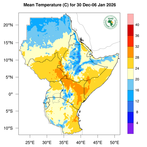 Temperature forecast