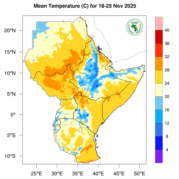 Temperature forecast