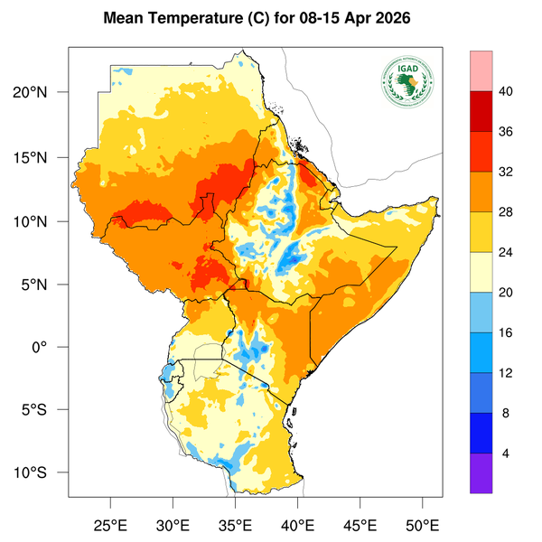 Temperature forecast