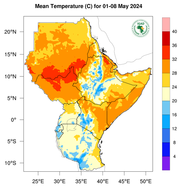 Temperature forecast