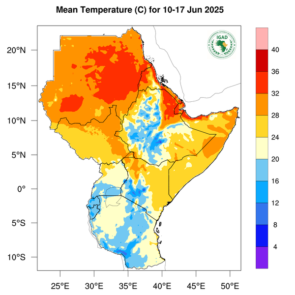 Temperature forecast