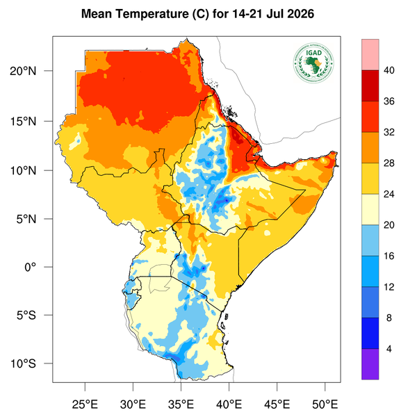 Temperature forecast