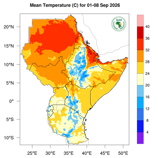 Temperature forecast