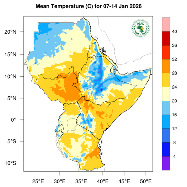 Temperature forecast