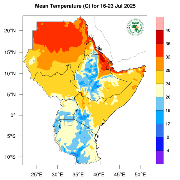 Temperature forecast