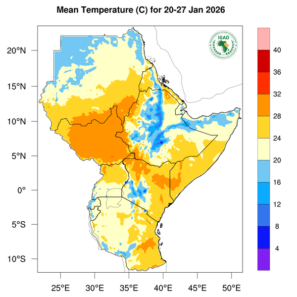 Temperature forecast