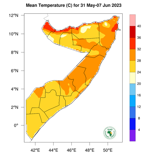 Temperature forecast