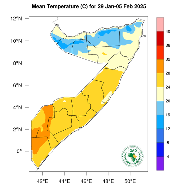 Temperature forecast