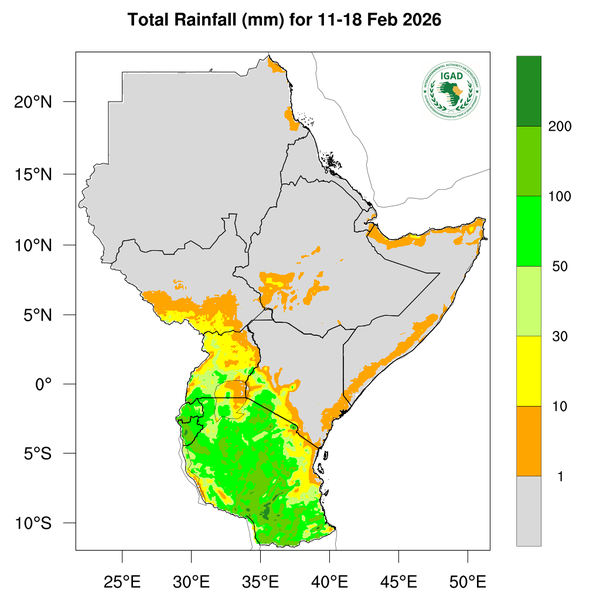 Rainfall forecast