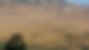 Climate Watch Advisory: The Evolving Dry Conditions in the Northern Parts of Eastern Africa- August 2026 Update