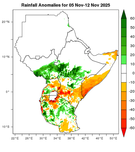 Rainfall forecast (anomalies)