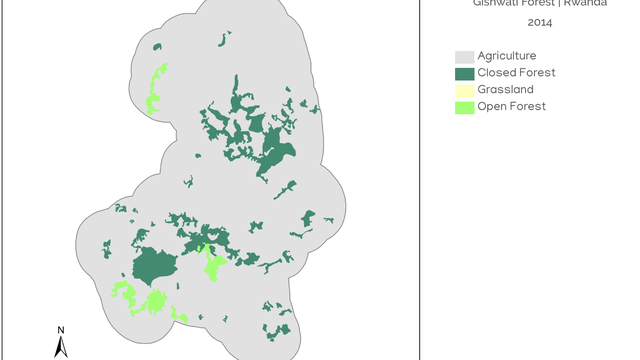 gishwati-forest-rwanda-cover-2014.png
