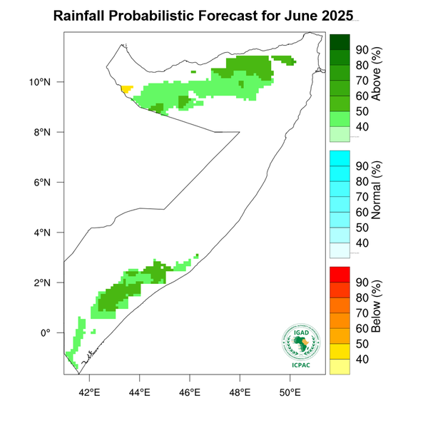 Rainfall forecast